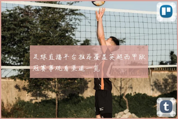 足球直播平台推荐覆盖英超西甲欧冠赛事观看渠道一览