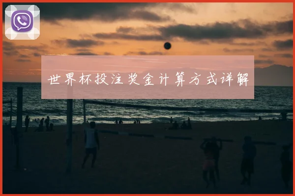 世界杯投注奖金计算方式详解