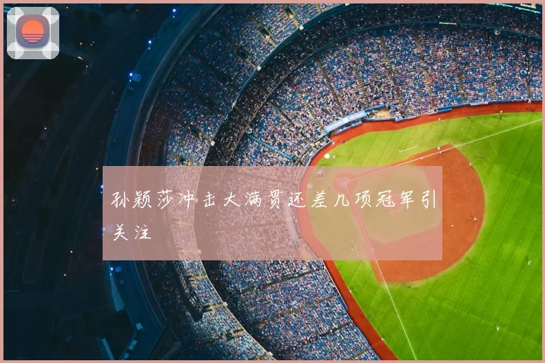 孙颖莎冲击大满贯还差几项冠军引关注