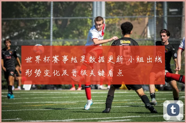 世界杯赛事结果数据更新 小组出线形势变化及晋级关键看点