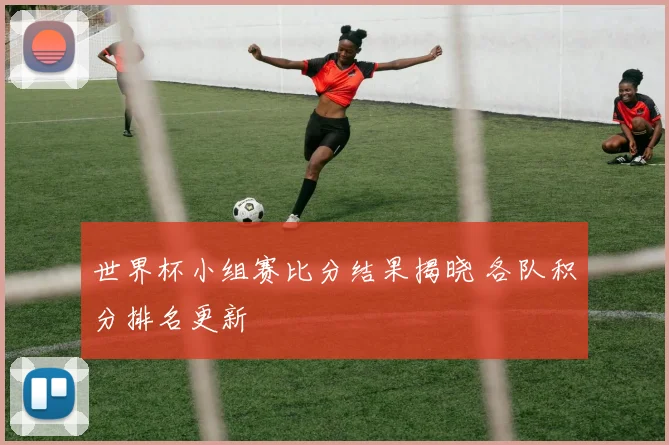 世界杯小组赛比分结果揭晓 各队积分排名更新