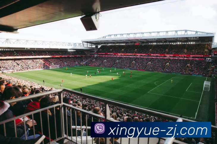 多媒体互动体验